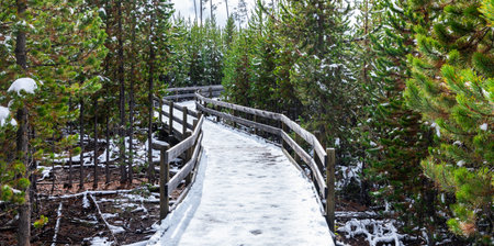 Curve walking wooden bridge covered by snow and footprint into pine forest in winter.