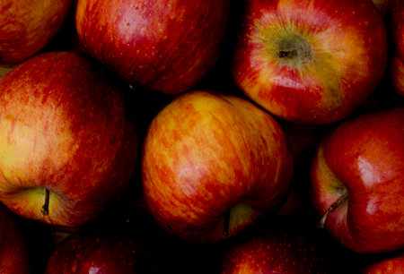 Apple background of slightly spoiled apples, close upの写真素材