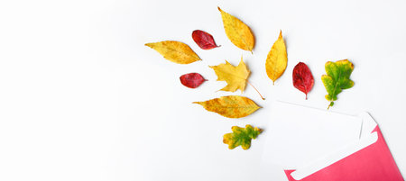 Autumn flat lay. Envelope with a blank greeting card and fallen yellow leaves on white background. Copy space. Banner formatの写真素材