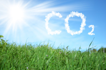 Green lawn with the sun in the blue sky and the word co2の写真素材