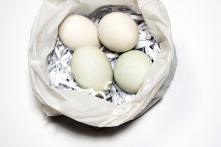 Eggs on the straw paper in recycle plastic bag, raw food packageの写真素材