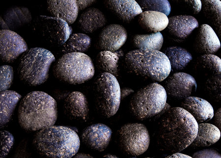 Texture of dried round and spongy black river stoneの写真素材