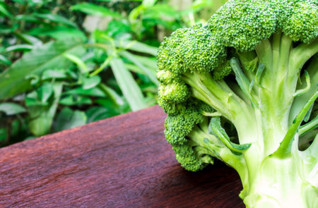 Close up to surface texture of freshness Broccoli vegetable