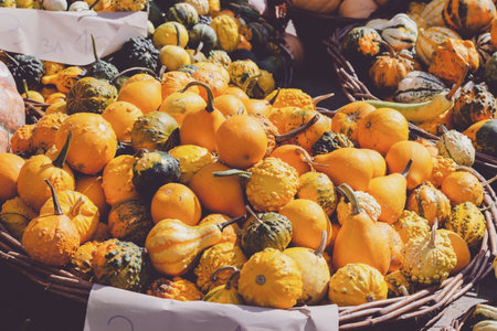 Decorative mini pumpkins and gourds in baskets on green market standの写真素材