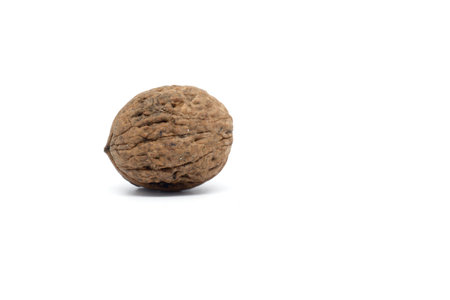 walnut white background.Walnut in shell on a white background.の写真素材