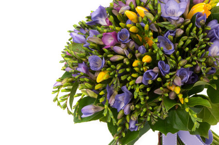 purple and yellow crocus bouquet on a white background closeup. Valentine's Dayの写真素材