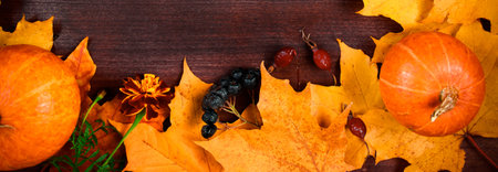 Autumn background. Frame from ripe pumpkins and fallen leaves on wooden boards. Harvest and Thanksgiving concept. Copy space. Banner formatの写真素材