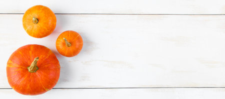 Three ripe pumpkins on a white background. Autumn harvest. Thanksgiving and halloween symbol. Banner...