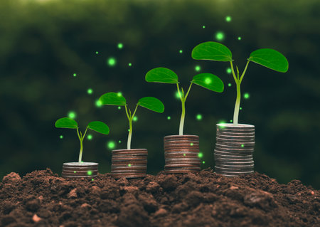a tree growing on a pile of coins Business success concept, finance, savings, stocks, marketingの写真素材