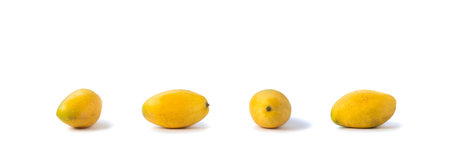 Isolated a mango ripe with the 4 angles (side, front, back, and opposite side) on white background. Clipping Paths.の写真素材