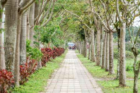 Laos brick walk way with the tree in the beside all the way.の写真素材