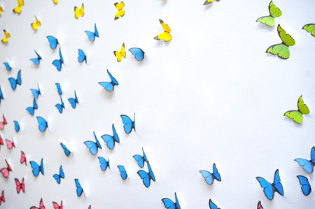 green blue yellow Butterfly graphic art pop up 3d on the white clean wallの写真素材