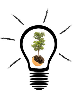 Light Bulb with soil and green plant sprout insideの写真素材