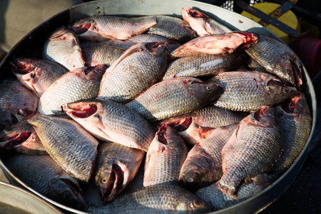 fresh seafood on the market in Thailandの写真素材