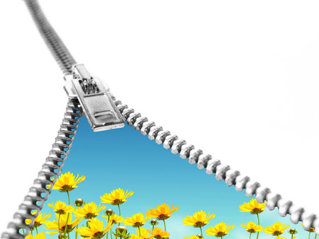 flower hidden behind a zip showing summer conceptの写真素材