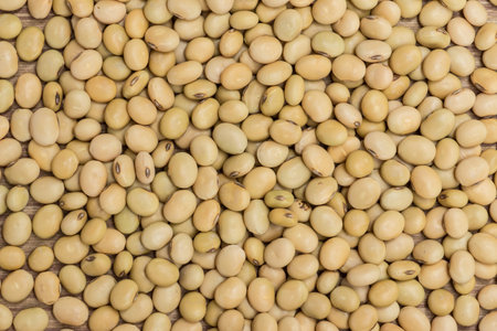 soy beans background