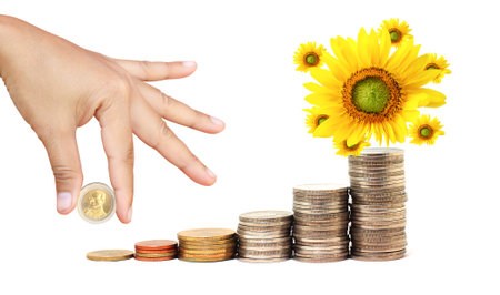 Increase your savingsの写真素材