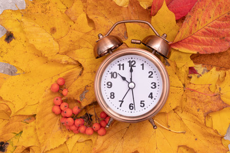 Autumn fall leaves and alarm clock. Autumn time conceptの写真素材