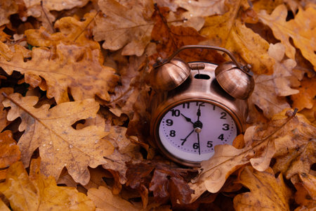 Autumn fall leaves and alarm clock. Autumn time concept
