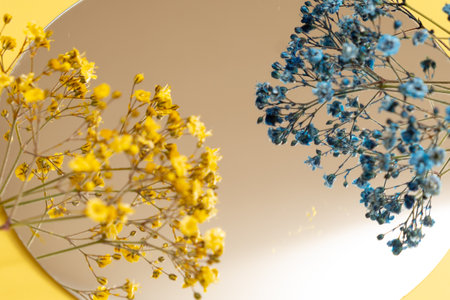 Blue and yellow gypsophila flowers on a mirror background.