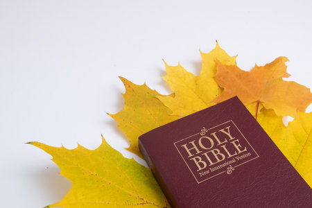 Holy bible with autumn yellow leaf on white backgroundの写真素材