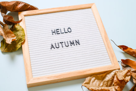 Inscription Hello October on white letter board, with dry leaves over light blue background. Autumn conceptの写真素材