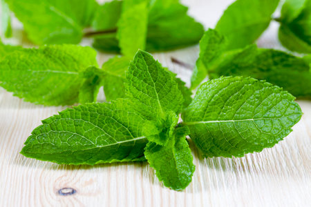 fragrant and fresh mint on a wooden table, close up of spices and food