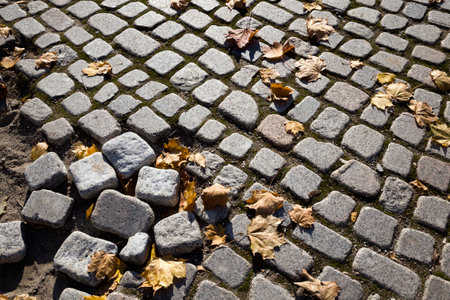 modern stone road in the autumn season, the view of the old road is created, on top of it lies the...