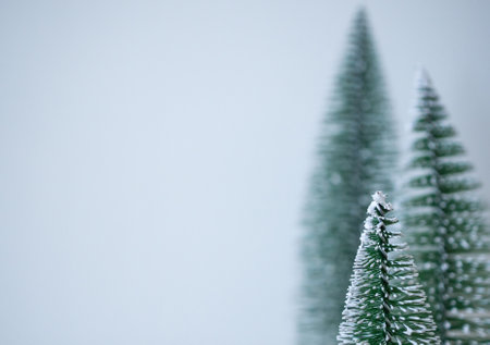 christmas tree with white wall backgroundの写真素材