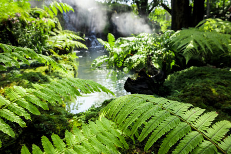 Closeup wild green fern leaves in tropical waterfall rainforest nature background