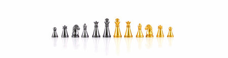 Set of chess figures isolated on the white backgroundの写真素材