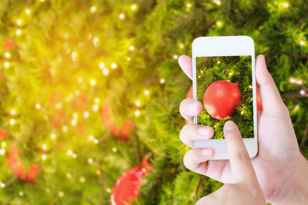 Woman hand hold mobile smartphone taking picture of christmas decorations on the branches of fir...