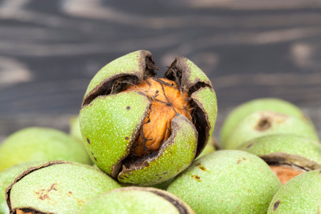 cracked ripened walnuts, closeup of nuts harvested