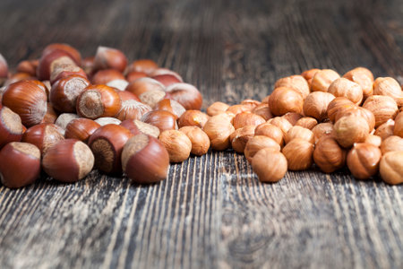 hazelnuts that are used for food and for cooking various dishes, solid raw ready to eat hazelnuts, nuts useful and rich in protein and minerals hazelnutsの写真素材