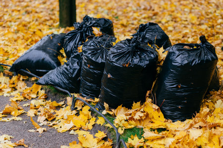 Many black garbage bags for cleaning autumn leaves on yellow foliage background. Rubbish and cleaning concept. Outdoor shotの写真素材