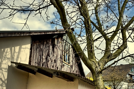 In the countryside