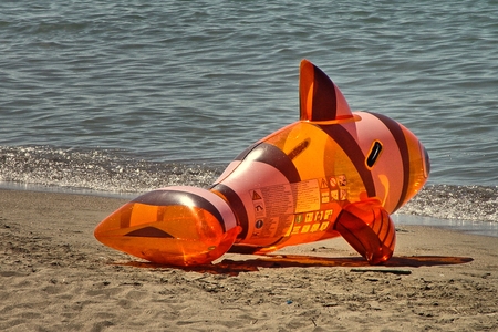 swimming animal for childrenの写真素材