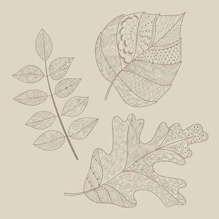 Leaves doodleのイラスト素材