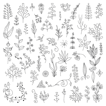 Hand Drawn vintage floral elements. Set of flowers. Decorative elementsのイラスト素材