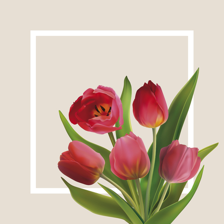 Beautiful bouquet of red tulips. Background for postcard on 8 March, Mothers Day, Birthday, Spring Sale and other. Vector illustration in EPS10 formatのイラスト素材