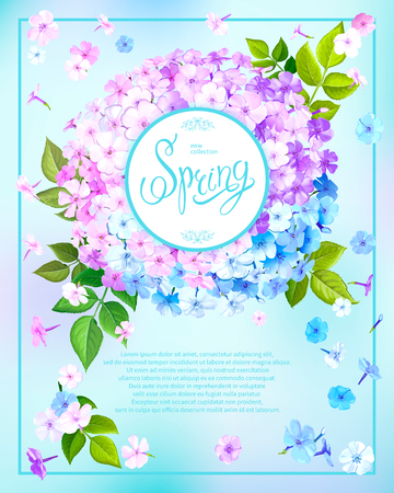 Beautiful floral background with blooming flowers of pink, lilac and light blue phloxes, green leaves. Inscription Spring in round frame on pastel sky blue background. Vector illustrationのイラスト素材