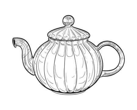 Tea kettle. Vector hand drawn illustration of teapot in engraved style. Glass household kitchen utensils. Black and white sketch isolated on white backgroundのイラスト素材