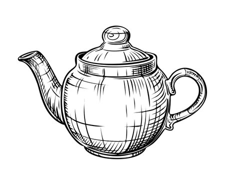 Tea kettle. Vector hand drawn illustration of teapot in engraved style. Ceramic household kitchen utensils. Black and white sketch isolated on white backgroundのイラスト素材