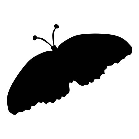 Black silhouette of a moth on a white backgroundのイラスト素材