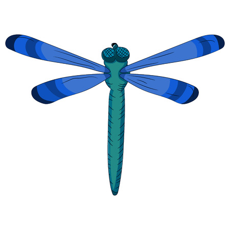 Bright blue dragonfly. Child s drawing. vector illustration. Hand-drawn.のイラスト素材