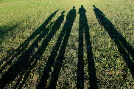 long shadows of family created by sunset in natureの写真素材