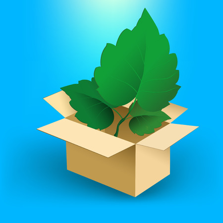 Leaves in box vector illustrationのイラスト素材