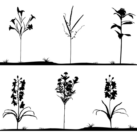 Silhouettes of flowers illustrationのイラスト素材