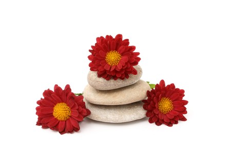 flower and stones isolated on whiteの写真素材