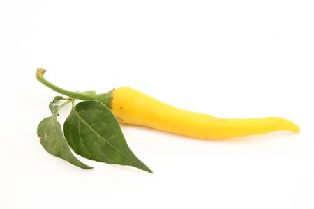 chili pepperの写真素材